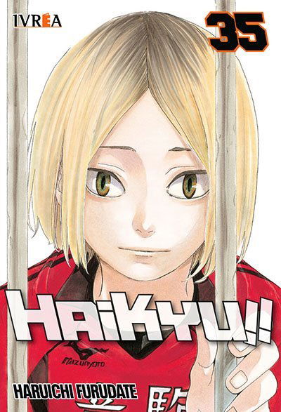 HAIKYU!! Tomo 35 Ivrea
