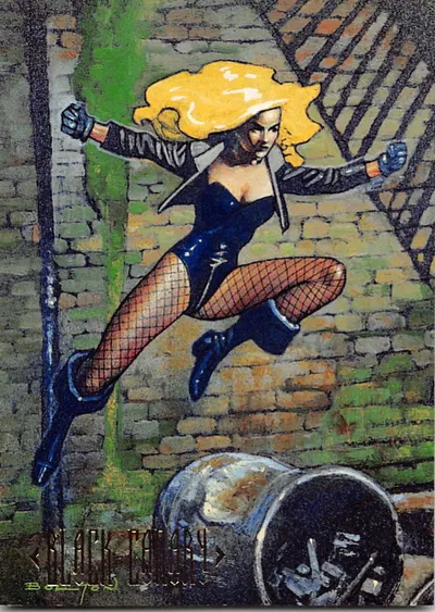 DC SKYBOX 1994: BLACK CANARY
