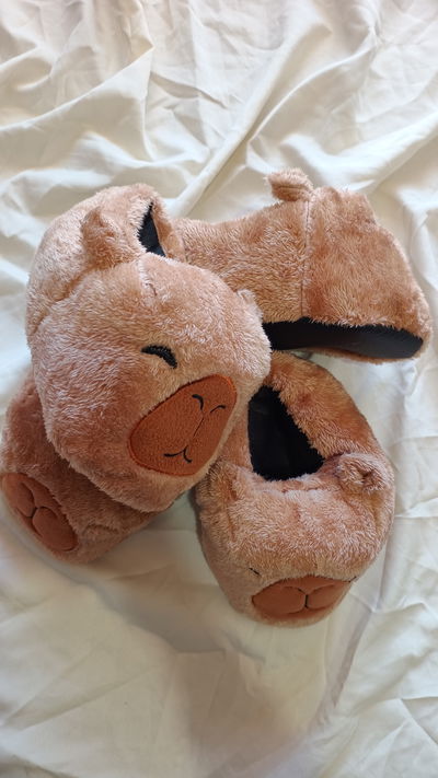 Pantuflas Capibara niños