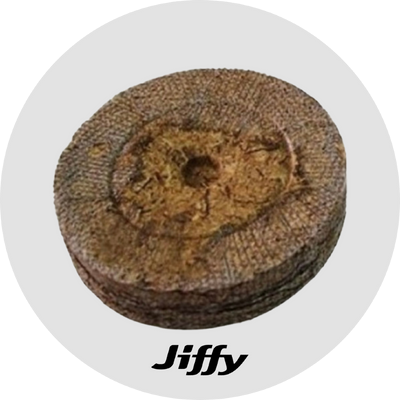 monedas J7 clones - MINI