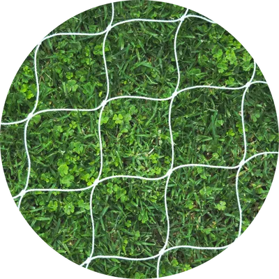 RED PARA SCROG 100x100