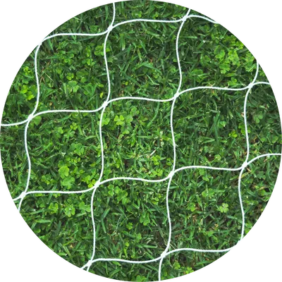 RED PARA SCROG 80x80