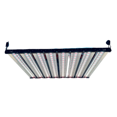 LED LUX CREE J SERIES 480W