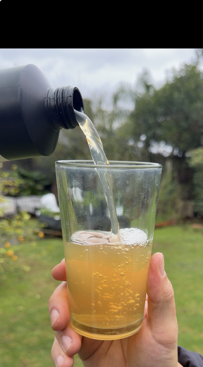 extracto alga kelp 500 ml