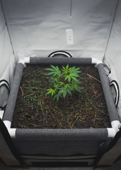 kit bunker 100L