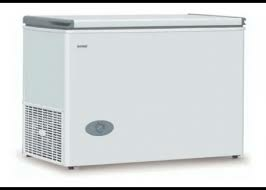 FREEZER BAMBI 290LTS.