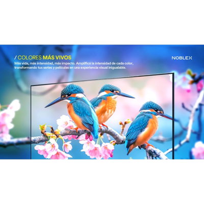 TELEVISOR NOBLEX 65 4K SMART GOOGLETV