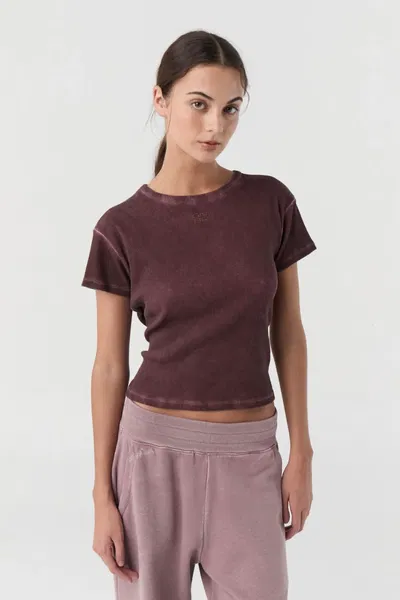 Remera Fade Toupe
