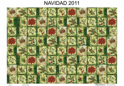 Lámina de Seda 50x70 cm