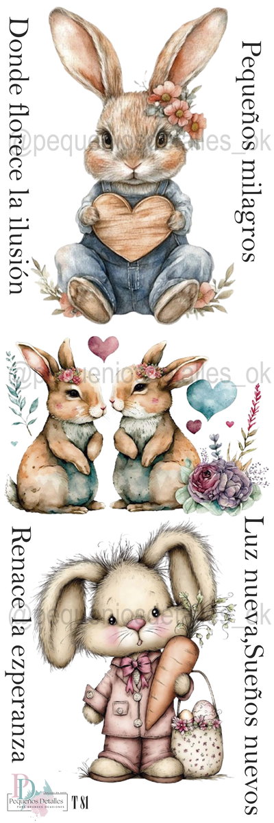 FullTransfer pascuas