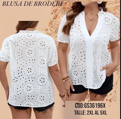 Blusa Cuello V Broderi