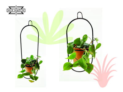 Planter Pill Colgante