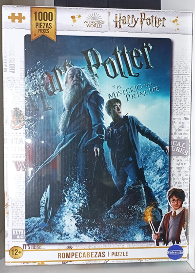 Rompecabezas 1000PC Harry Potter y Dumbledore