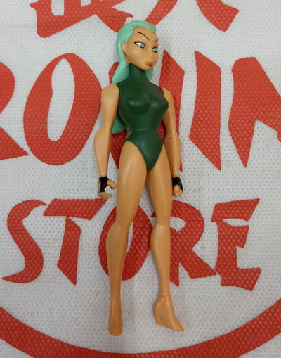 Aquagirl - Young Justice - Figura DC Articulada 10cm