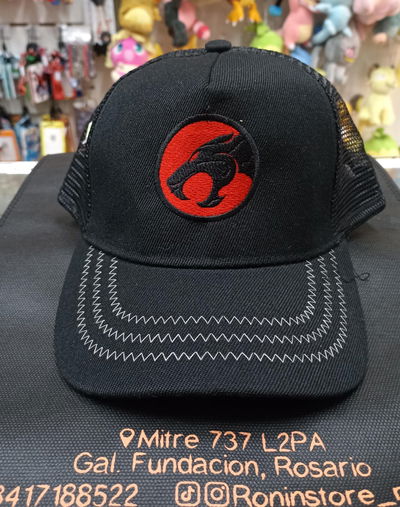 Gorra Bordada Thundercat