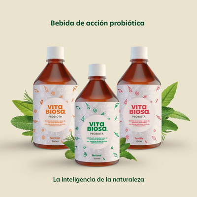 Vita biosa Probiótico 500 cc