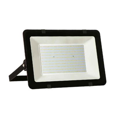 PROYECT LED 300W LION FRIO