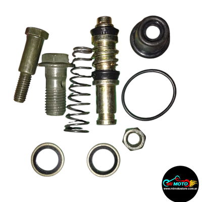 REPARACION BOMBA DE FRENO SMASH