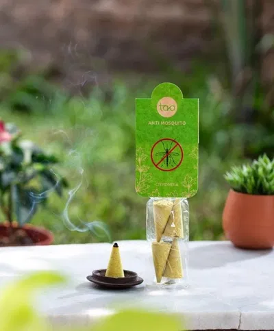 Conos TAO Citronela x4u