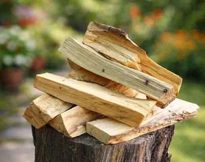 PALO SANTO (tronquitos) x 150g