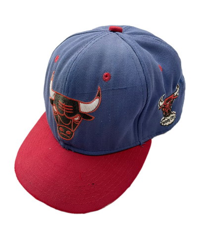 visera bulls nba