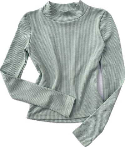 turtle neck swtr top