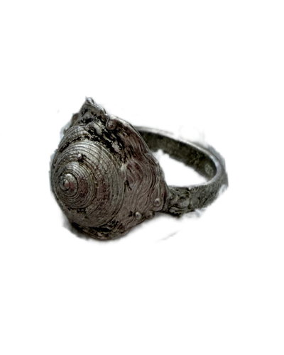 anillo caracola 