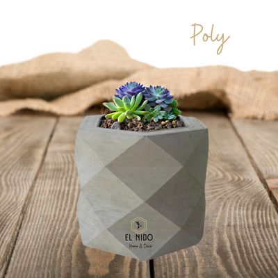 MACETAS DE DISEÑO 10X10CM CEMENTO