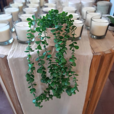 PLANTA COLGANTE VINTAGE 50 CM