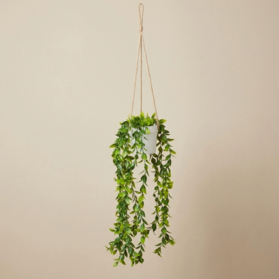 Planta colgante decorativa con soga natural