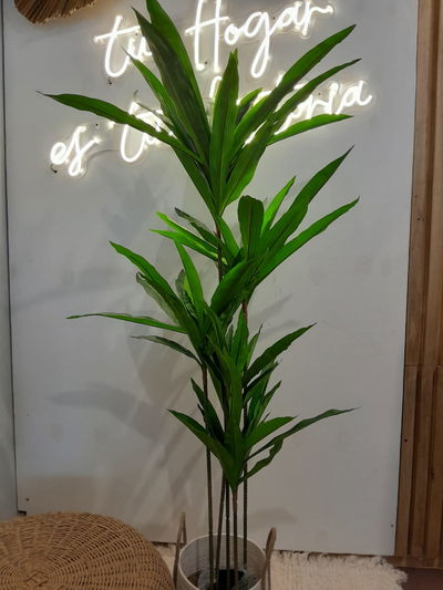 Planta Artificial Decorativa Palo de Agua 130 Cm