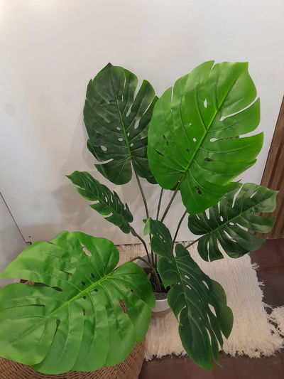 Planta Artificial Decorativa Monstera 100 Cm