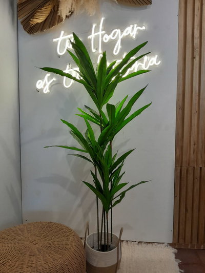 Planta Artificial Decorativa Palo de Agua 130 Cm