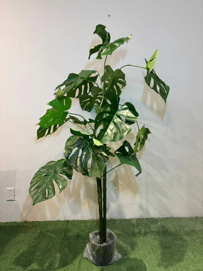 PLANTA ARTIFICIAL COSTILLA DE ADAN 150CM UV