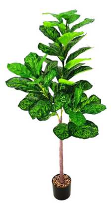 FICUS 130CM