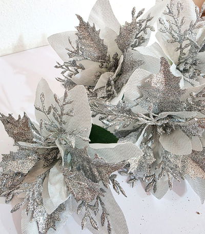 Ramos Flores Estrella Federal Plata