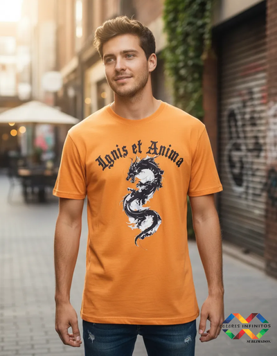 Remera Algodon Diseño DRAGON Talle XL 
