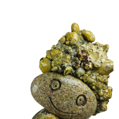 Piedras Patagónicas