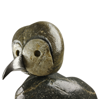 Pollito Pio