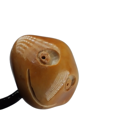 Trotamundos 1