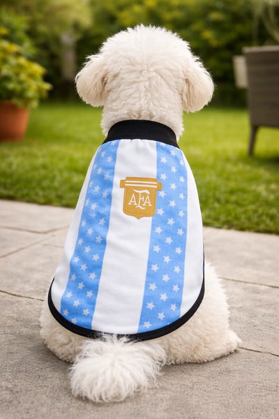 CAPA POLAR ARGENTINA