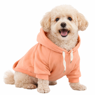 HOODIE ASIA SALMÓN OSCURO