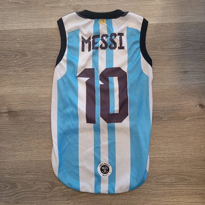 MUSCULOSA RAYADA ARGENTINA