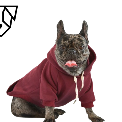HOODIE ASIA BORDÓ