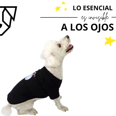 REMERA PRINCIPITO