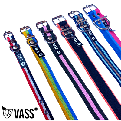 COLLAR RAYADO