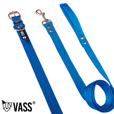 CONJ. COLLAR Y CORREA LISA