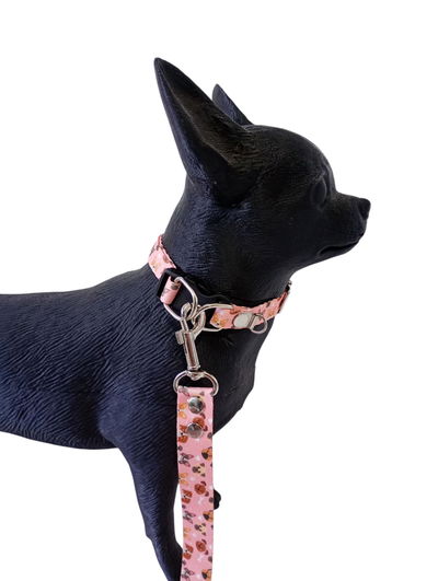 CONJ. COLLAR Y CORREA ESTAMPADA