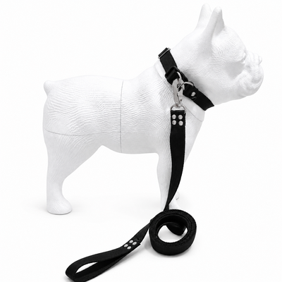 CORREAS XL