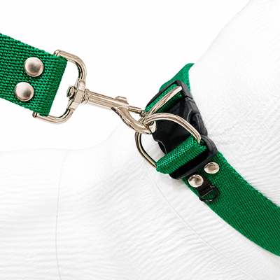 COLLAR REGULABLE